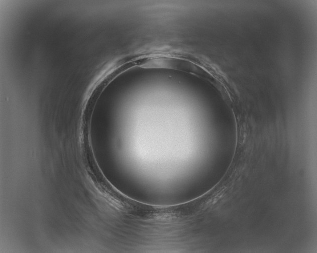 X0000060570344200511031315