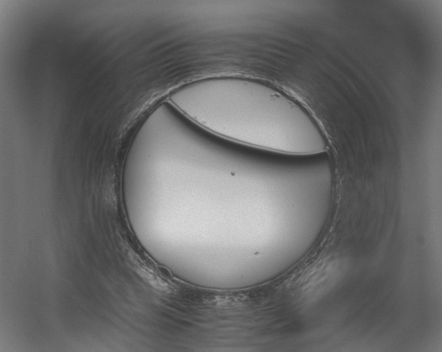 X0000060570345200511031315