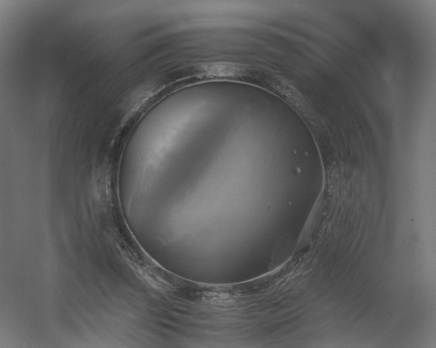 X0000060570347200511031315