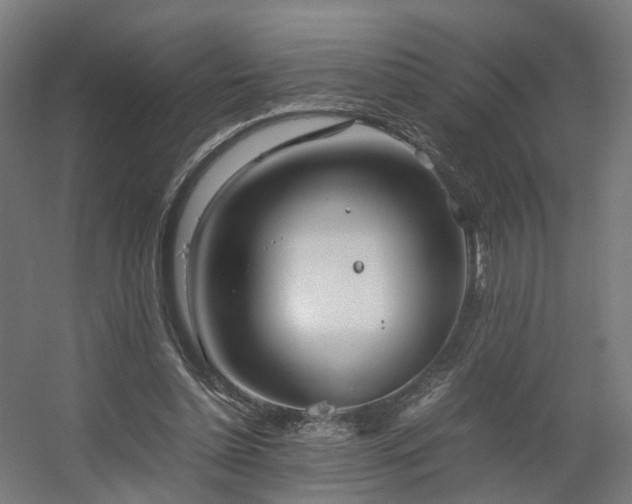 X0000060570348200511031315