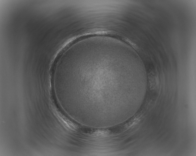 X0000060570350200511031315