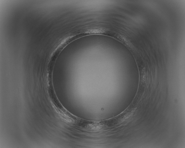 X0000060570351200511031315