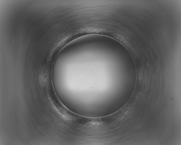 X0000060570352200511031315