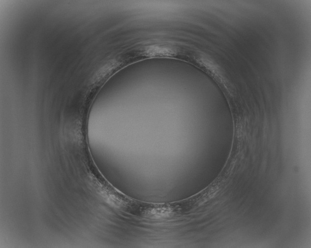 X0000060570353200511031315