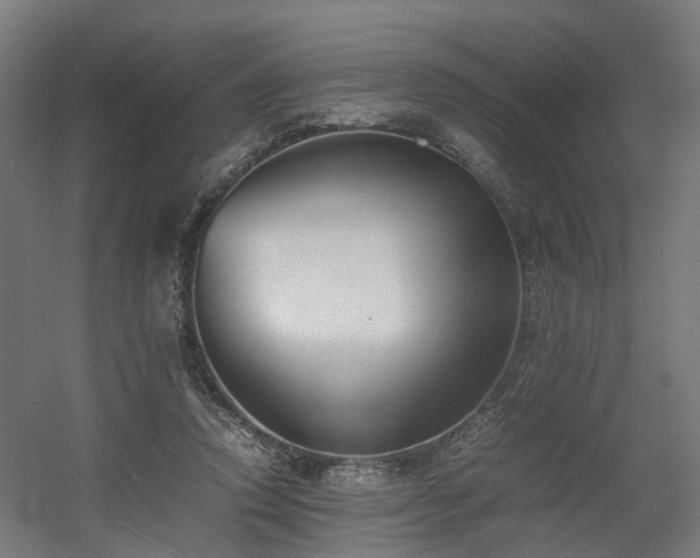 X0000060570354200511031315