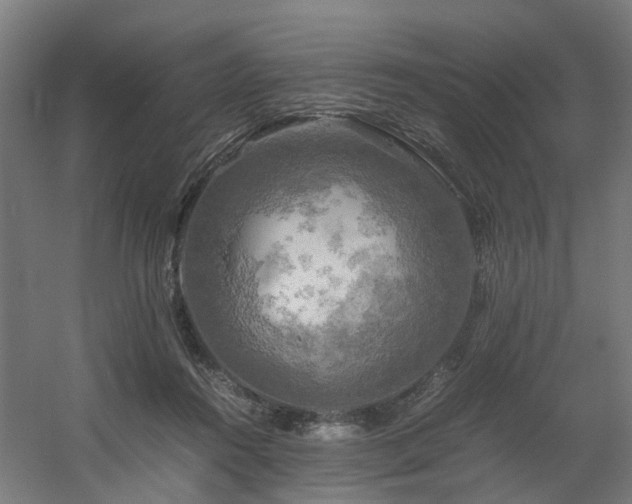 X0000060570360200511031315