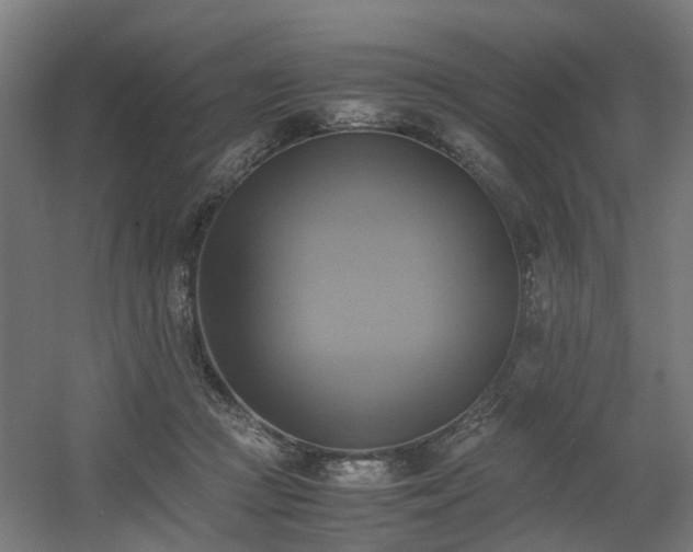 X0000060570361200511031315