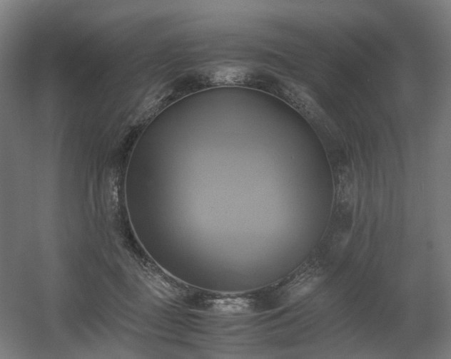 X0000060570363200511031315