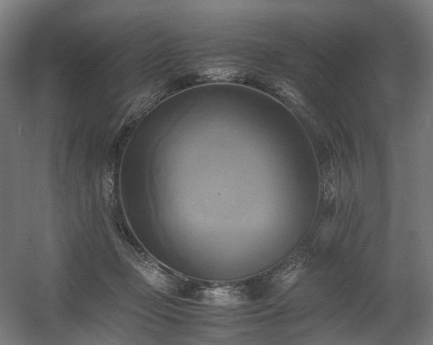 X0000060570365200511031315