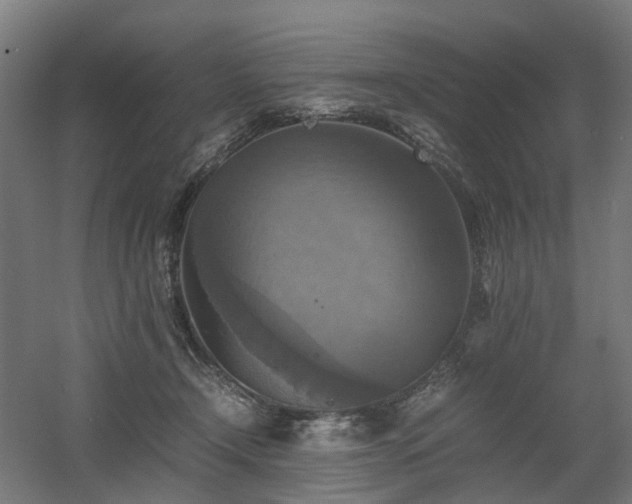 X0000060570366200511031315