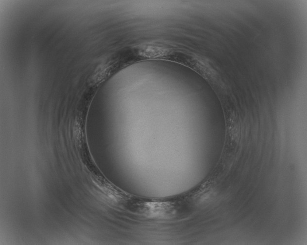 X0000060570371200511031316