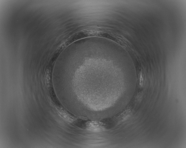 X0000060570372200511031316