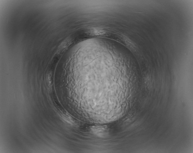 X0000060570373200511031316