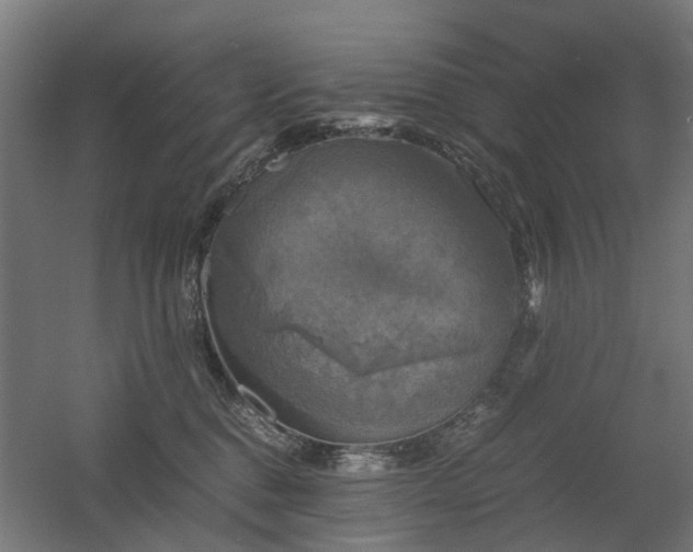 X0000060570376200511031316