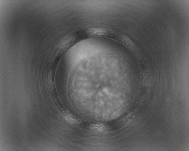 X0000060570377200511031316