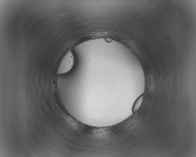 X0000060570378200511031316