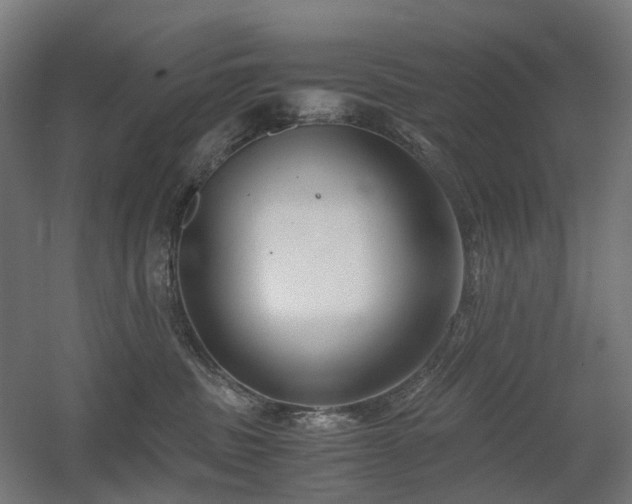X0000060570379200511031316