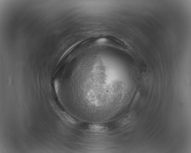 X0000060570380200511031316