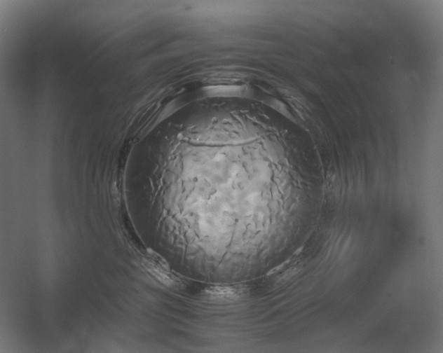 X0000060570381200511031316