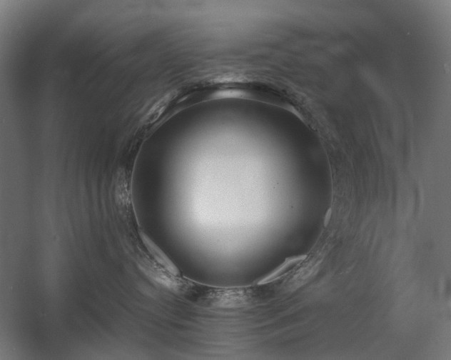 X0000060570384200511031316