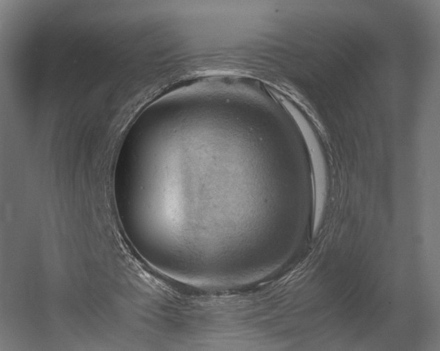 X0000060570385200511031315