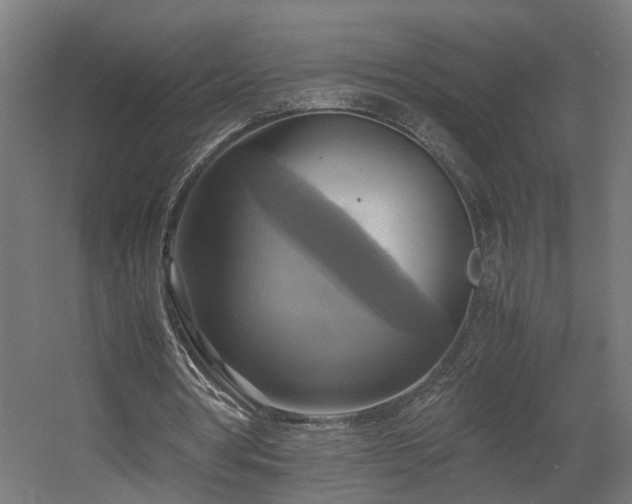 X0000060570386200511031315