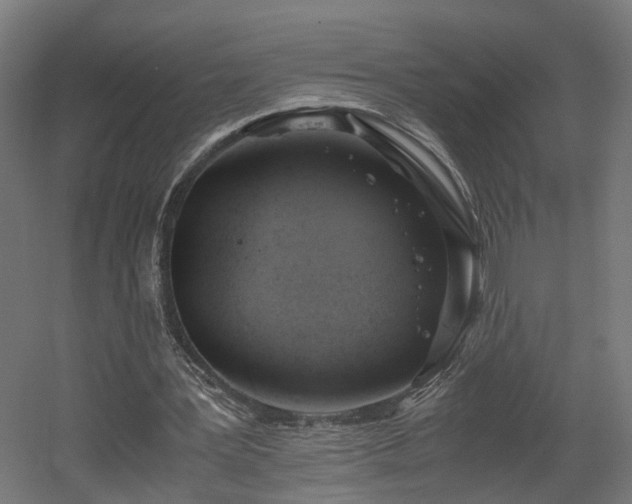 X0000060570387200511031315