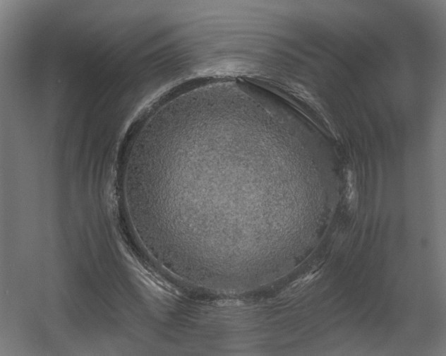 X0000060570392200511031315