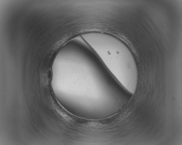 X0000060570393200511031315