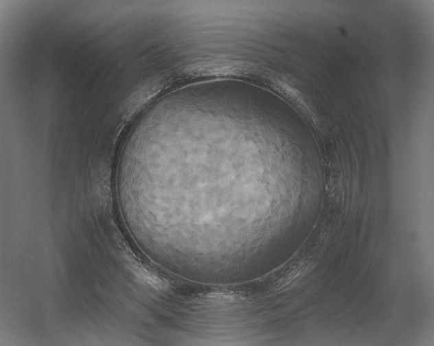 X0000060570394200511031315