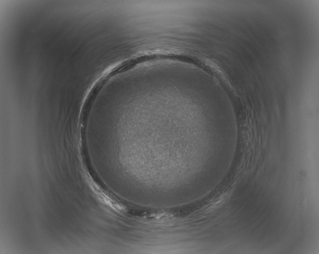 X0000060570395200511031315