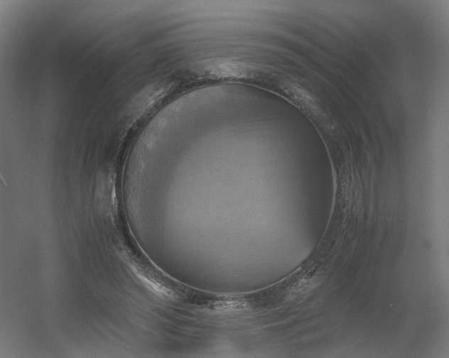 X0000060570398200511031315