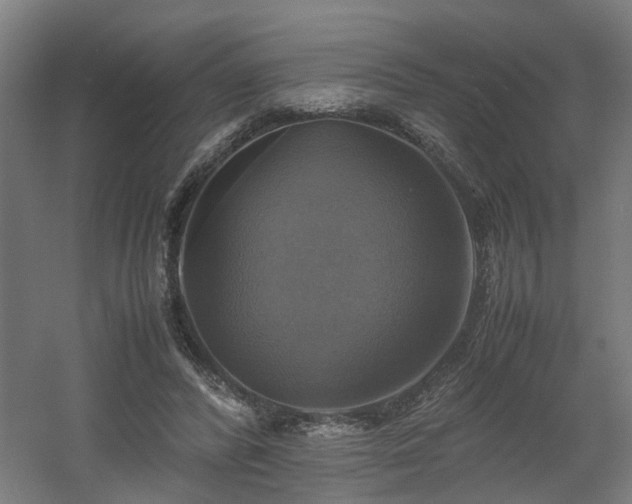 X0000060570400200511031315