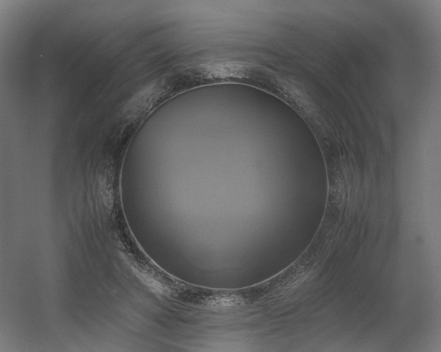 X0000060570402200511031315