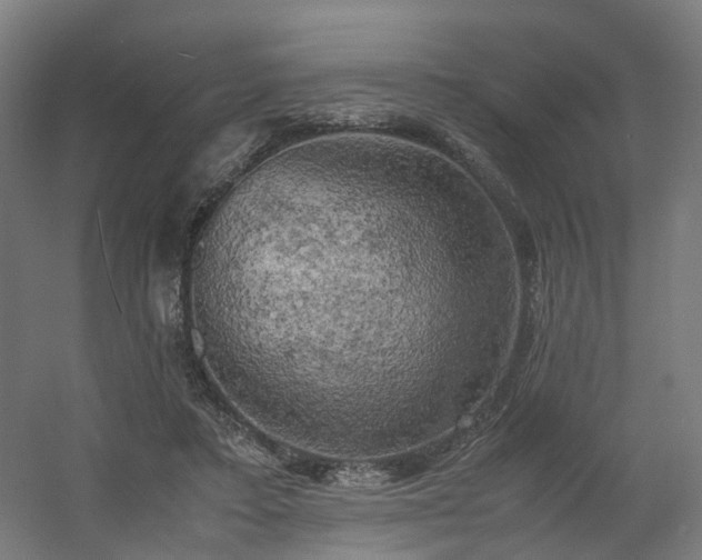 X0000060570403200511031315