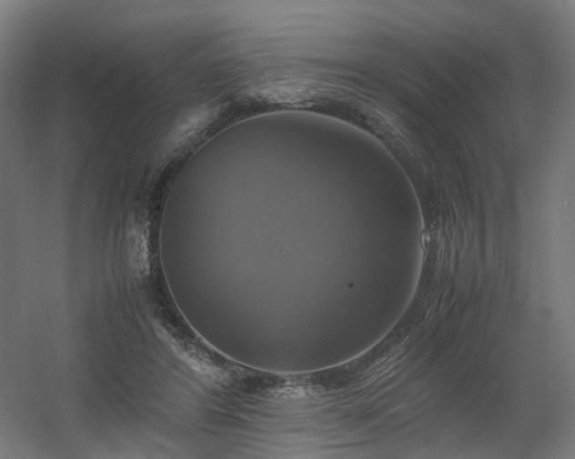 X0000060570404200511031315
