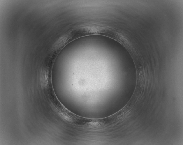 X0000060570406200511031315