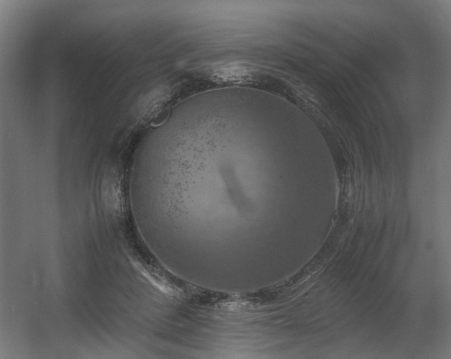 X0000060570408200511031315