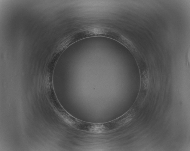 X0000060570410200511031315