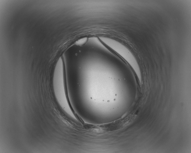X0000060570411200511031314