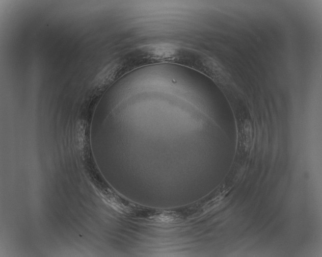 X0000060570412200511031314
