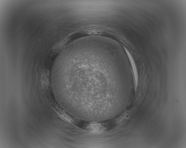 X0000060570413200511031314