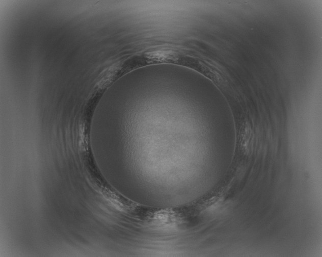 X0000060570420200511031314