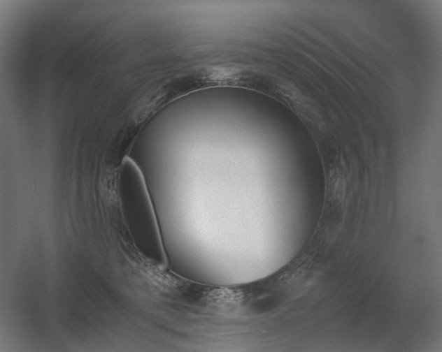 X0000060570421200511031314