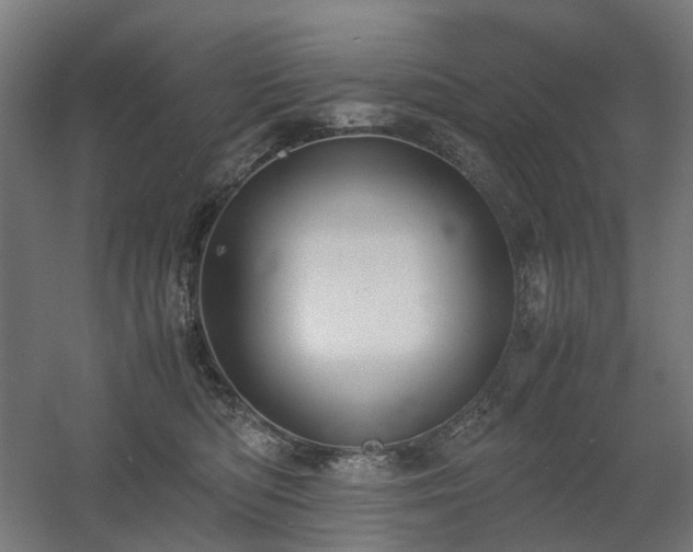X0000060570422200511031314