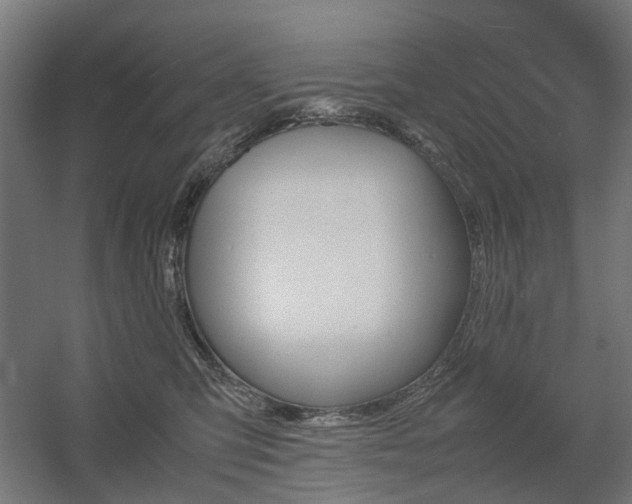 X0000060570423200511031314