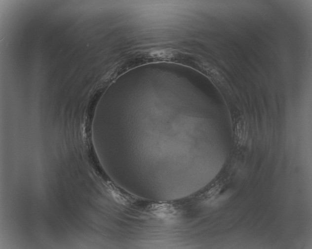 X0000060570424200511031314