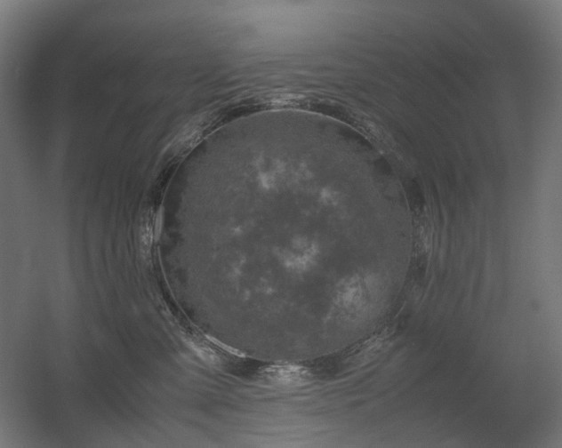 X0000060570427200511031314