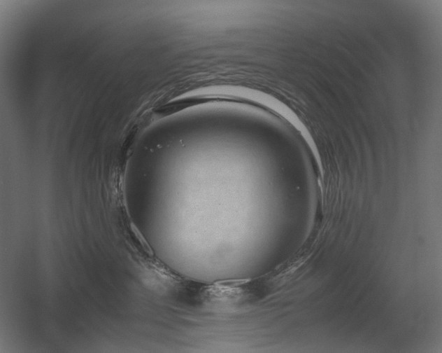 X0000060570429200511031314