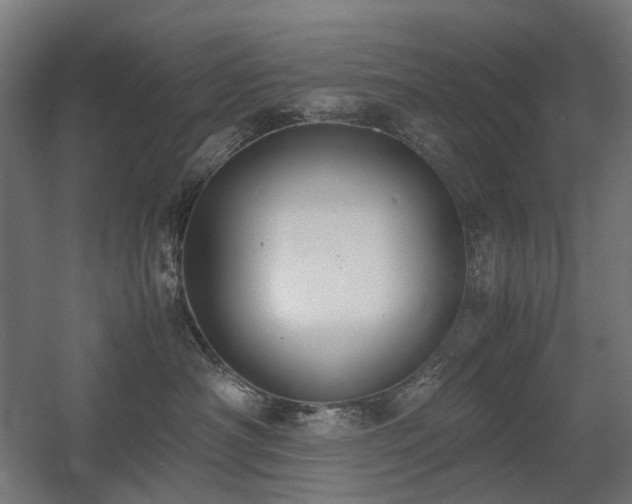 X0000060570430200511031314